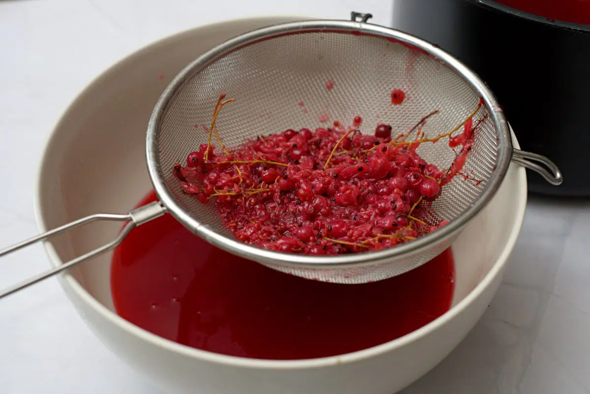 strained red currants in strainer. 