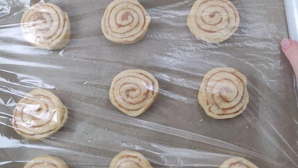 cinnamon rolls on baking sheet covered with plastic wrap. 