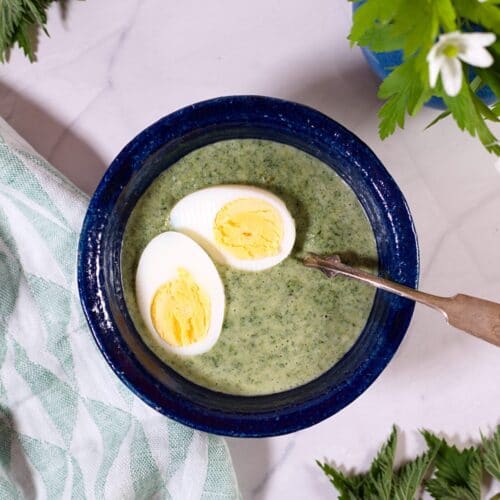 Nettle soup with eggs and green cloth on white background.