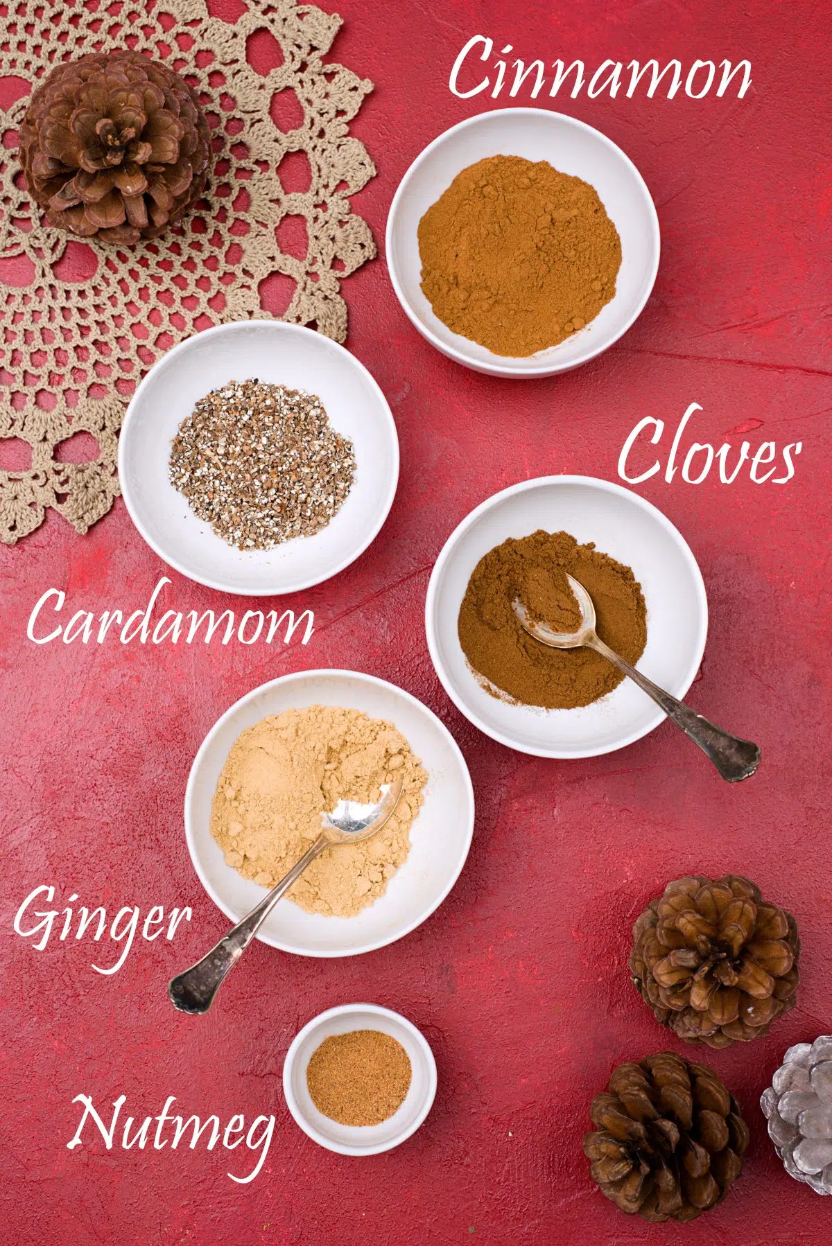 dried ground spices in small cups with decorations on red background.