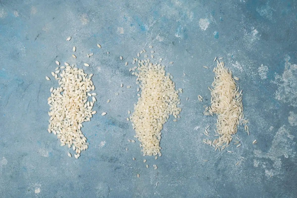 three types of rice grains on blue surface. 