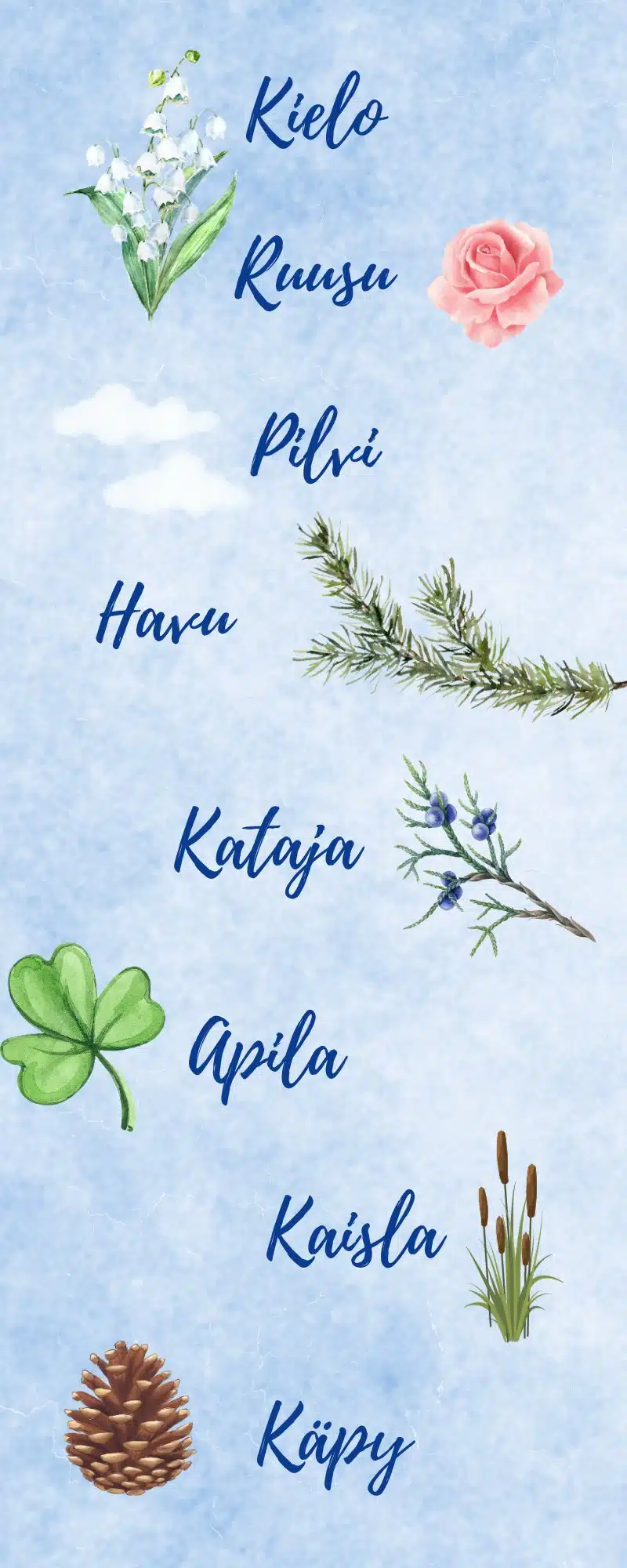 graphics of names and the things representing it like pine cone, clover, brnaches, cloud and flowers. 