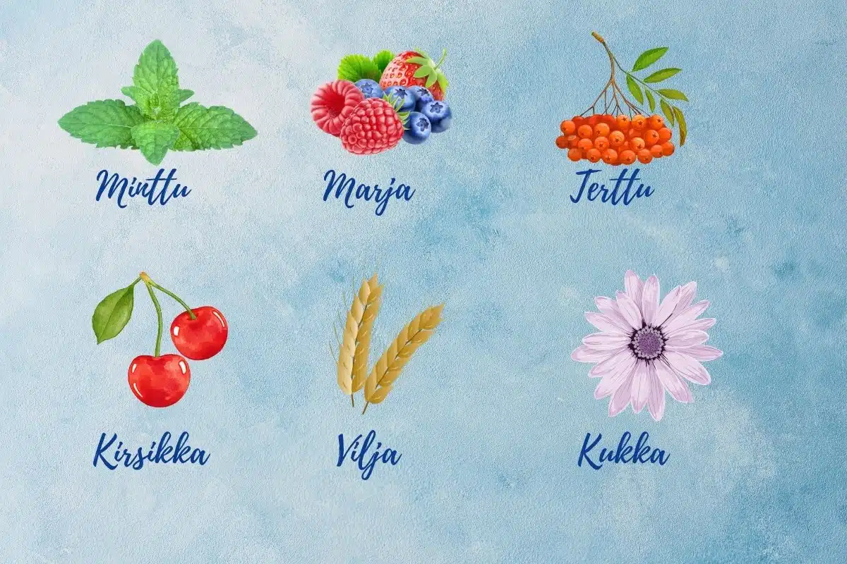 Finnish names as text and image representing spices, berries and fruits like minttu, marja, terttu, kirsikka, vilja and kukka.  