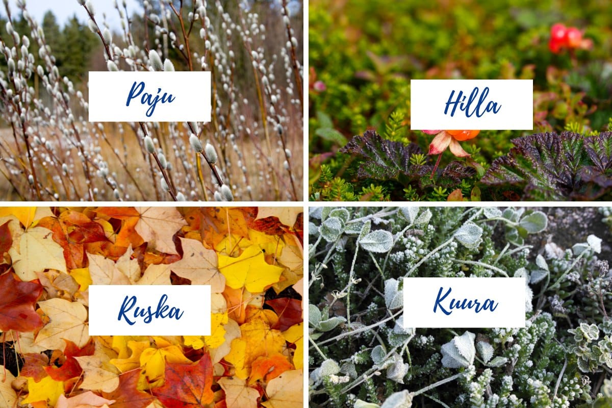 Four pictures of items in different seasons representing girl names, paju, hilla, ruska, kuura. 